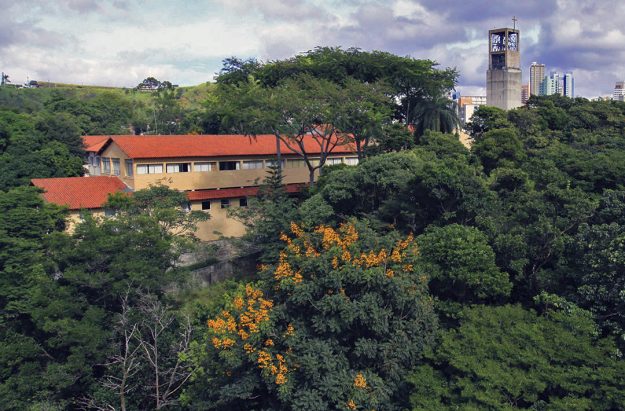 Amalux; Associação dos Moradores e Amigos dos Bairros Luxemburgo, Coração de Jesus e Vila Paris