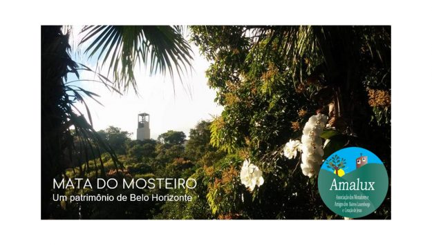 apresentação mata do mosteiro